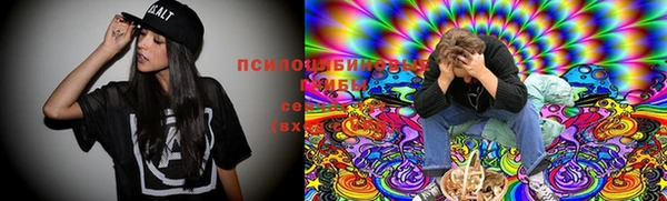 соль ск Ладушкин