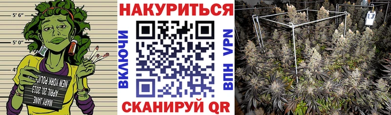Бошки марихуана OG Kush  Мончегорск 