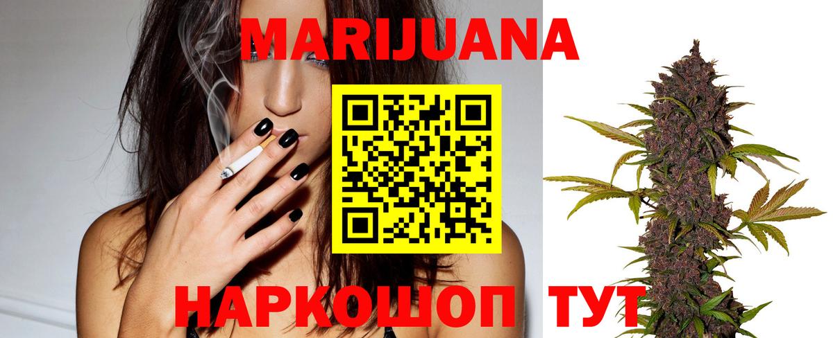 Каннабис сатива Мончегорск